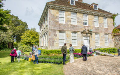 Hundreds Attend Arundells’ First Ever Plant Fair