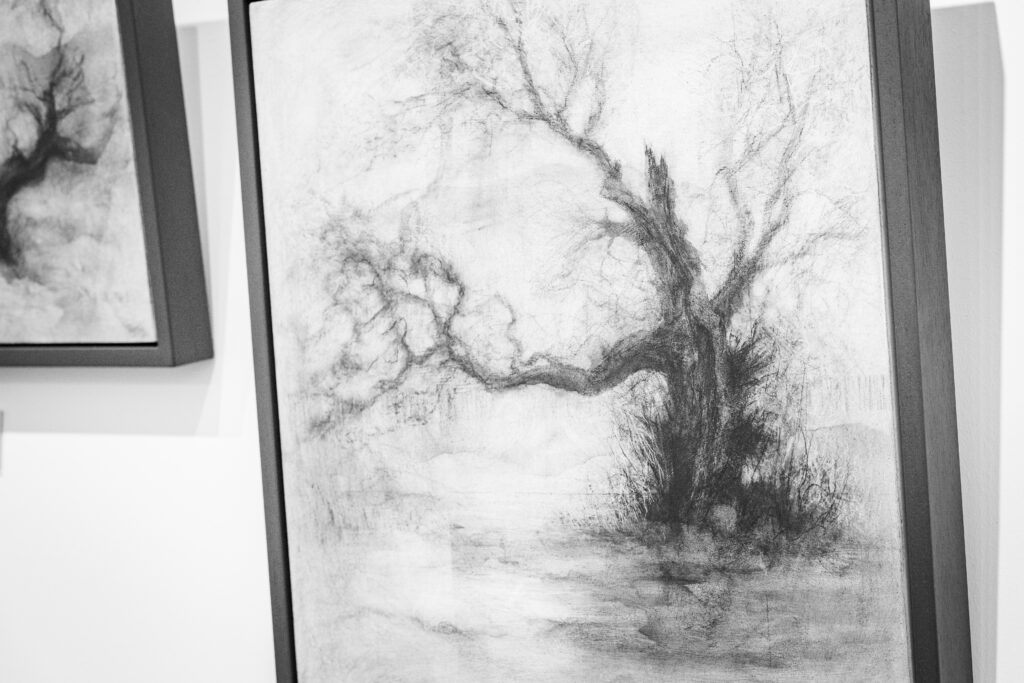 Exhibition: Seen in the Trees – Tansy Lee Moir