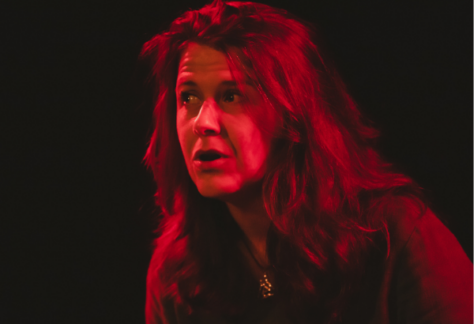 Dartmoor storyteller Lisa Schneidau