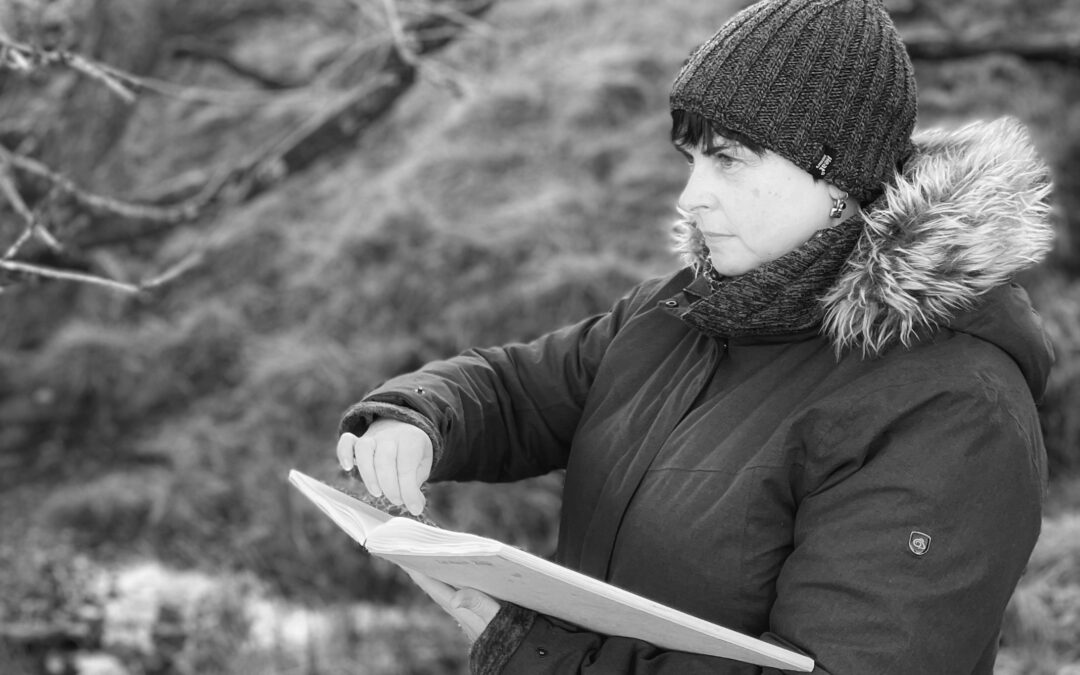 Artist Talk: Seen in the Trees with Tansy Lee Moir
